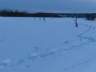 雪降る冬のメタボ対策 / スノーシューで雪上ウォーキング