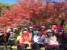 歴史を風景と味で堪能するランニング企画「京都ジョイラン2014秋」が開催