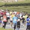 若葉の掛川路９０００人が疾走掛川・新茶マラソン