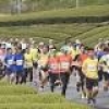 フル男子は樋口、女子は河合Ｖ 掛川・新茶マラソン