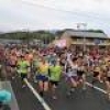 佐賀県で開催！伊万里ハーフマラソン2018 参加者募集